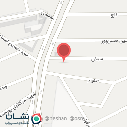 عکس نمایندگی اسنوا (شهدا)