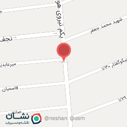 عکس شبنم الکترونیک