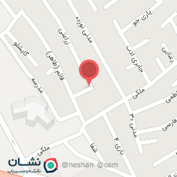 عکس تولیدی کفش نایس