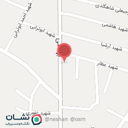 عکس کیف و کفش حسینی