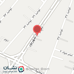 عکس تولیدی پشتی پارسینه