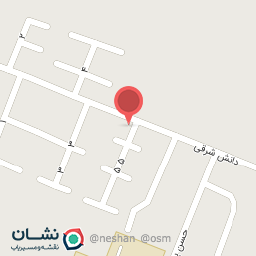 عکس پیتزا و ساندویچ تک 