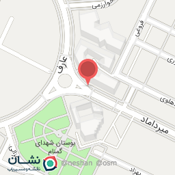 عکس کره کباب جیگر طلا