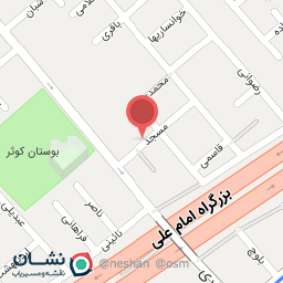 عکس تهیه غذای نارنج