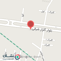 عکس فست فود ناپل