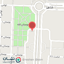 عکس مرغ کاکل زری