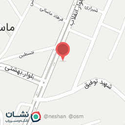 عکس کیف کفش سارینا