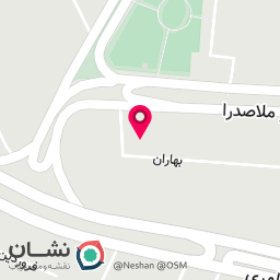عکس پرستار خانم و آقا و روزانه