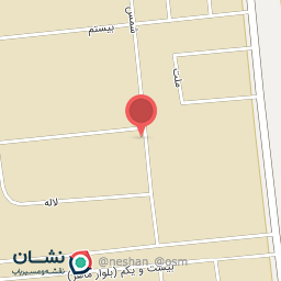 عکس چرم حامد