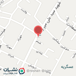 عکس کباب بریانی امیر