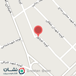 عکس کیف و کفش زنانه ولیعصر