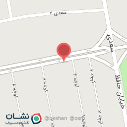 عکس پیتزا پارک