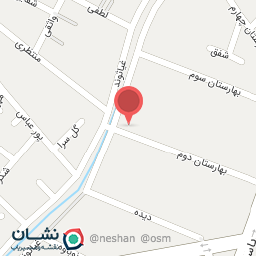 عکس کترینگ آس کباب