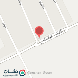 عکس خودپرداز