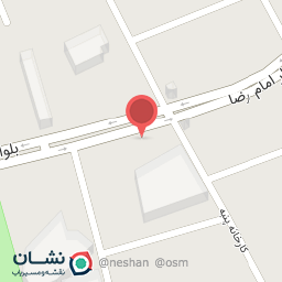 عکس کفش ملی