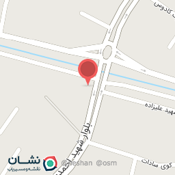 عکس تزئینات اتومبیل مسعود