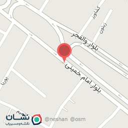 عکس حامد شوز