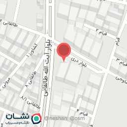 عکس پیتزا لیمو