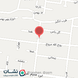 عکس خدمات الکترونیک فیروزی