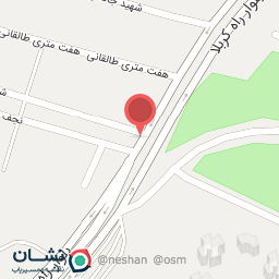 عکس مرغ بریانی تیموری