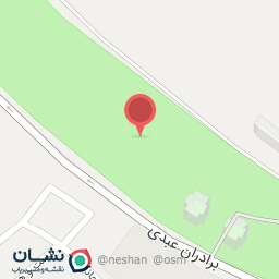 عکس دکتر مینا عبدلی