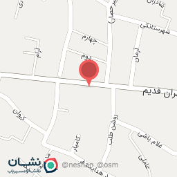 عکس پیتزا ساندویج روناک