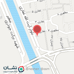 عکس کبابی سعید 