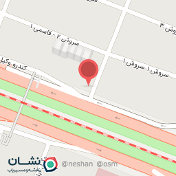 عکس پیتزا رئیس