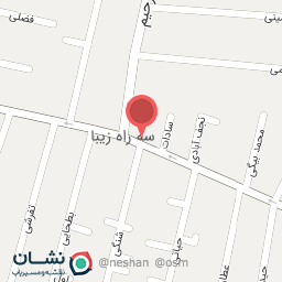 عکس فست فود