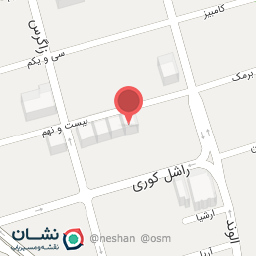 عکس شبکه پویا