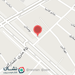 عکس بلبرینگ سادات 