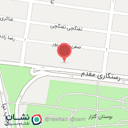 عکس اتو سرویس شهروند