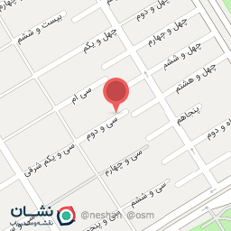 عکس زبرا فونیکس