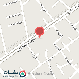 عکس مکانیکی استاد شجاعی