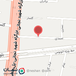 عکس هیئت نورالانوار تبریز 