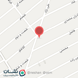 عکس شوینده بهداشتی میرزایی