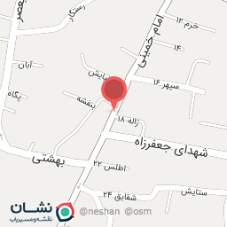 عکس پولکی پزی ملت