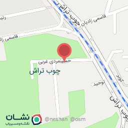 عکس کترینگ خاتون