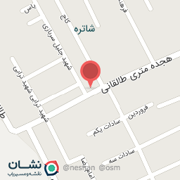 عکس پیتزا و ساندویچ آرش