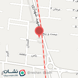 عکس پیتزا و برگر 90