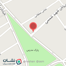 عکس پیتزا دارکوب