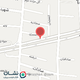 عکس جواهری پینیت