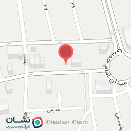 عکس مرغ و ماهی امیر (باقری)