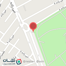 عکس  شهید نبی زاده 8