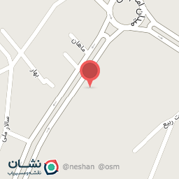 عکس فست فود برکه