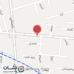 عکس الکتریکی امینی