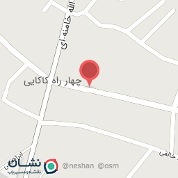 عکس پیتزا ساندویچ احمد