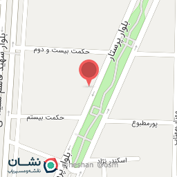 عکس پیتزا متری