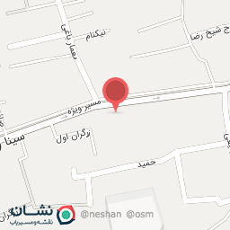 عکس لنت ترمز امیر