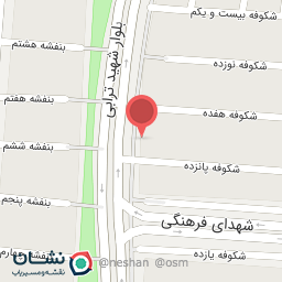 عکس کبابی سعید